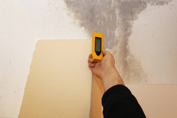Best HVAC Mold Inspection and Cleaning  in Amity Gardens, PA