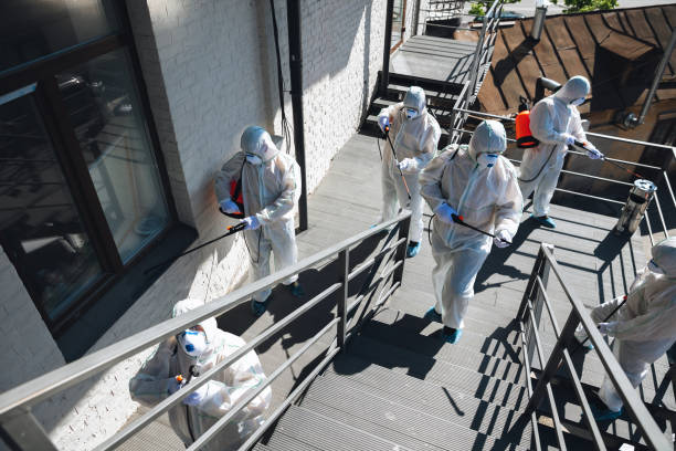 Professional Mold Removal in Amity Gardens, PA