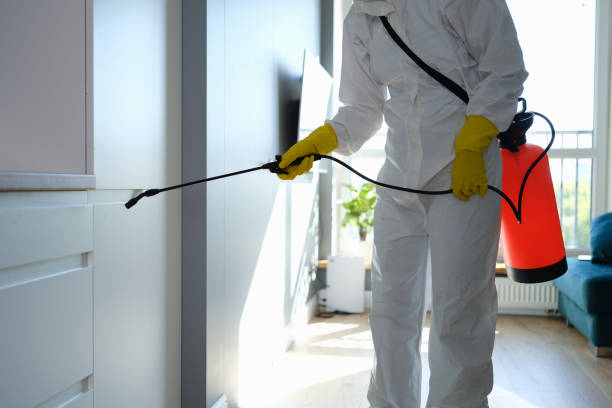 Mold Odor Removal Services in Amity Gardens, PA